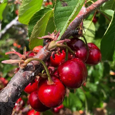 公寓 La Duquesa Del Valle *